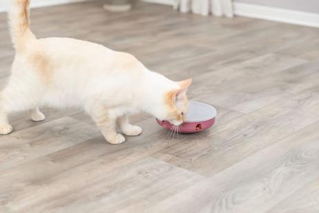 Cat Activity Rocking Maze Aktiviseringsleke til Katt - 18cm (126-45933)