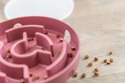 Cat Activity Rocking Maze Aktiviseringsleke til Katt - 18cm (126-45933)