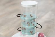 Cat Activity Gambling Tower Aktiviseringsleke til Katt - 25cm (126-45932)