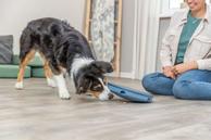 Dog Activity Rocking Maze Aktiviseringsleke til Hund - 28cm (126-32057)