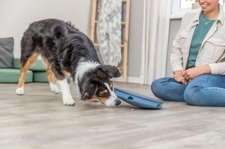 Dog Activity Rocking Maze Aktiviseringsleke til Hund - 28cm (126-32057)