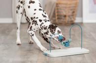 Dog Activity Skills Loop Aktiviseringsleke til Hund - 43cm (126-32054)