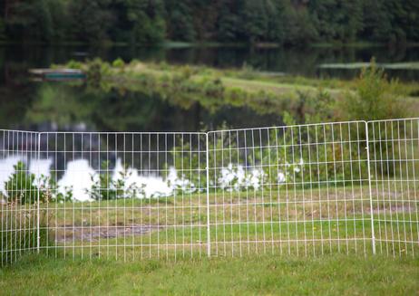 Hundegjerde,  4stk - Hvit (114-401-WH)