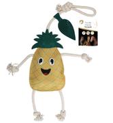 Holland Animal Care Excellent Foodie Friends Ananas