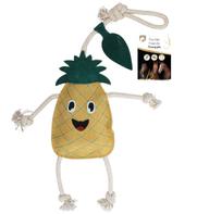  Excellent Foodie Friends Ananas