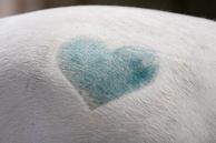 Excellent Glitterspray - Turkis (128-HIGL5055)