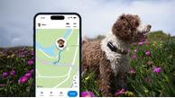 Tractive GPS Dog 6 til Hund - Svart (TRDOG6BK)