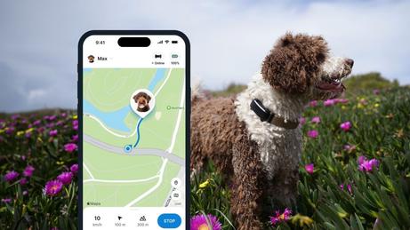 Tractive GPS Dog 6 til Hund - Svart (TRDOG6BK)