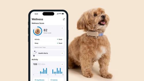 Tractive GPS Dog 6 til Hund - Brun (TRDOG6BR)