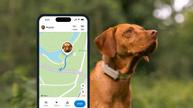 Tractive GPS Dog 6 til Hund - Brun (TRDOG6BR)