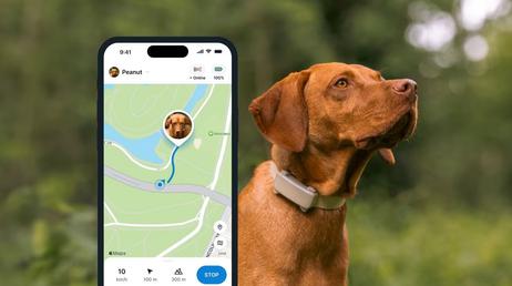 Tractive GPS Dog 6 til Hund - Brun (TRDOG6BR)