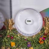 Niteangel Skritteller til Hamsterhjul (115-A00738)
