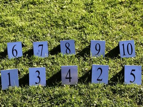  Aluminium Nummerplater til Agility