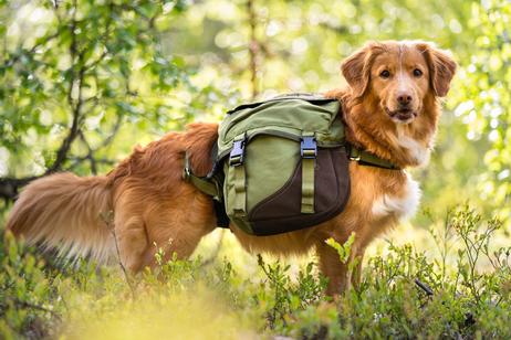 Seleverkstedet Togo Kløv (123-400-001-1500075026)