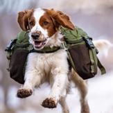 Seleverkstedet Togo Kløv (123-400-001-1500075026)