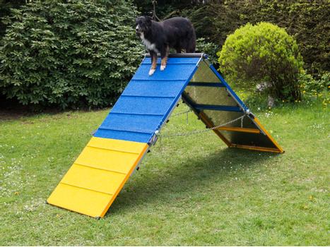 Trekk til Agility Møne (56-Cover-Awall)