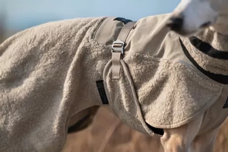 Non-stop Wool Dog Jacket, Sand (44-3267)