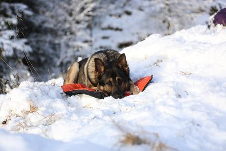 Non-stop Protector bivvy bed  (44-1928)