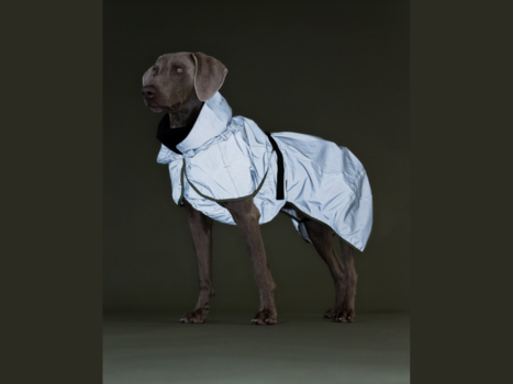 Paikka Reflective Regndekken,  Grønn  (120-1045160)