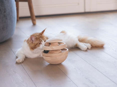 Designed by Lotte Neya Katteleke Tre (51-440730)