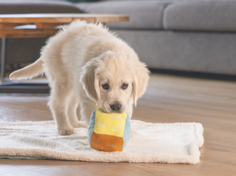 Valpeleke,  Terning med kommandoer - 11cm (51-619884)