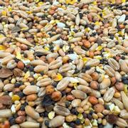  Bello Dueblanding Deluxe - 5kg