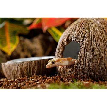 ExoTerra Tiki kokosnøtt hule & vannskål (59-HPT3159)