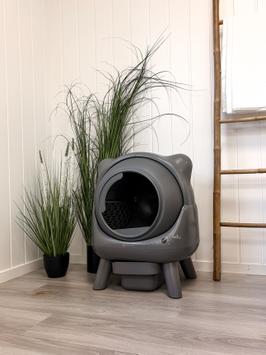  AmiCura Smart Kattedo CuraX