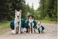 Trail Quest Kløv til hund - dark teal (44-29747)