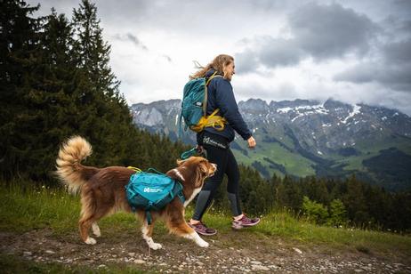 Trail Quest Kløv til hund - dark teal (44-29747)
