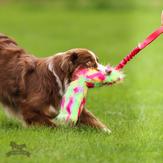 Doggie-Zen Knitrende Bungee Hundeleke,  Vårfarger -L (33-7872V)