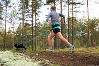 Non-stop CaniX belt 2.0 Aqua/Pink (44-3531)