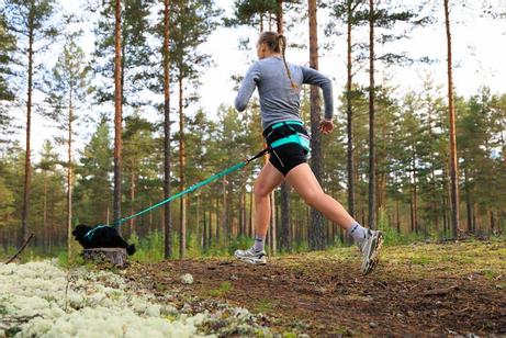 Non-stop CaniX belt 2.0 Aqua/Pink (44-3531)