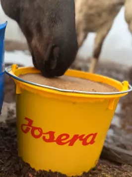 Josera Vitaminer 25kg - Tilskuddsfôr til Hest (15-50011382)