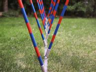 Agility Profi Slalom justerbar PRO- serie (56-AP2-X)