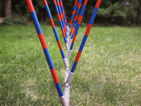 Agility Profi Slalom justerbar PRO- serie (56-AP2-X)