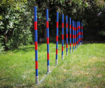 Agility Profi Slalom justerbar PRO- serie (56-AP2-X)
