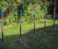 Agility Profi Slalom justerbar PRO- serie (56-AP2-X)