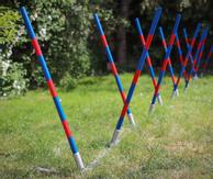 Agility Profi Slalom justerbar PRO- serie (56-AP2-X)