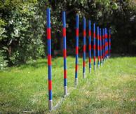 Agility Profi Slalom justerbar PRO- serie (56-AP2-X)