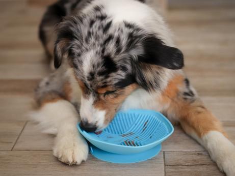 Slowfeeder slikkematte matskål