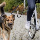 Trixie Sykkelsett,  Springer (16-TX12860)