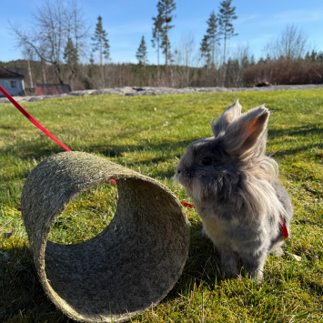  Jr Farm Høytunnel 