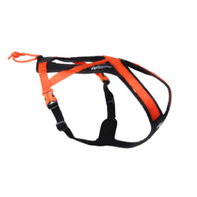  Non-stop Rush Hundesele, Orange