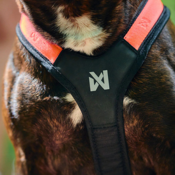 Non-stop Rush Hundesele,  Orange (44-4511, 44-4512, 44-4513, 44-4514)