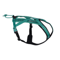  Non-stop Rush Hundesele, Teal