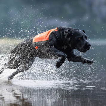 Non-stop Protector Neoprene Vest (44-3643, 44-3644, 44-3645, 44-3646)