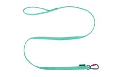  Non-stop Bungee Leash, Aqua