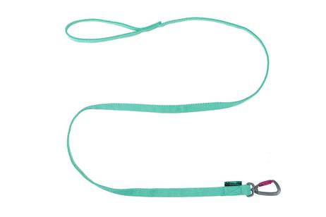  Non-stop Bungee Leash, Aqua