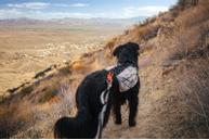 Non-stop Trail Light Backpack Teal (44-29757,44-29758,44-29759,44-29760,44-2)